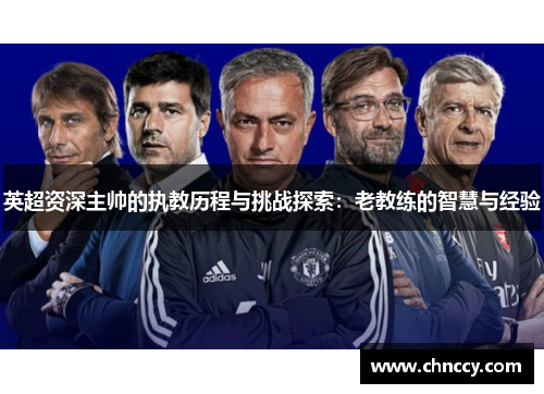 英超资深主帅的执教历程与挑战探索：老教练的智慧与经验