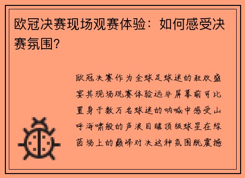 欧冠决赛现场观赛体验：如何感受决赛氛围？