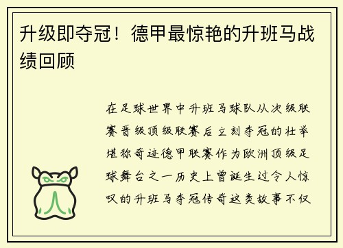 升级即夺冠！德甲最惊艳的升班马战绩回顾